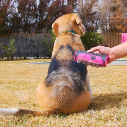 Brosse Pour Chien et Chat 3-en-1