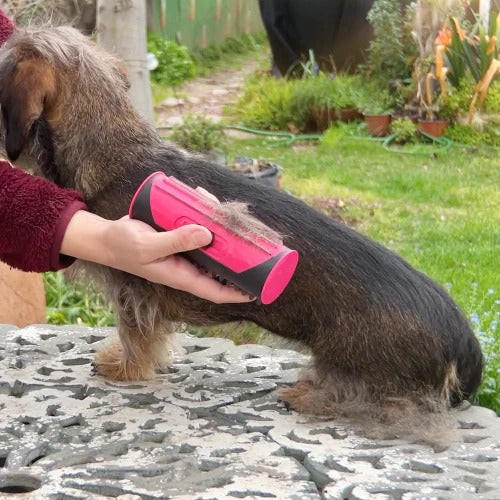 Brosse Pour Chien et Chat 3-en-1