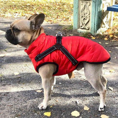 Doudoune Pour Chien